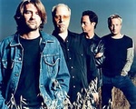 verve5